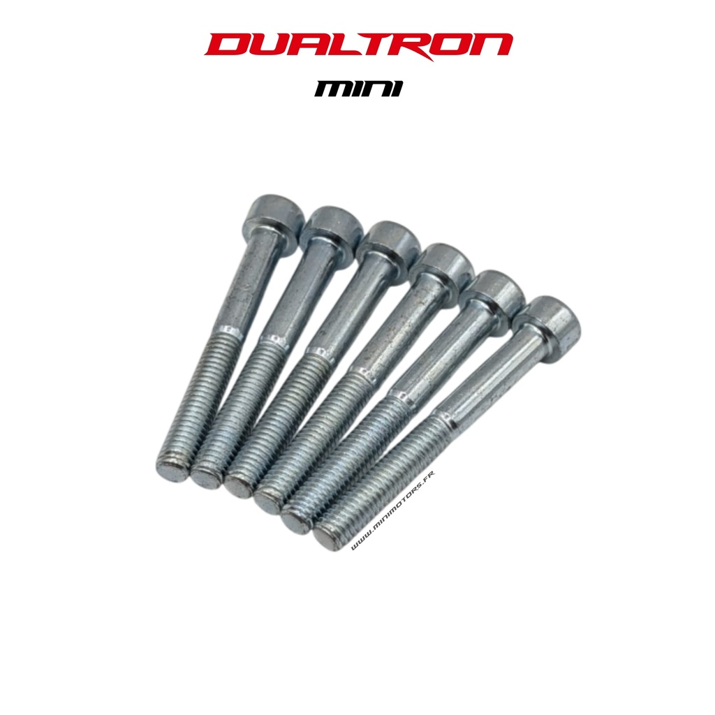 DUALTRON MINI | TORNILLO DE COLUMNA DE DIRECCIÓN (X6)