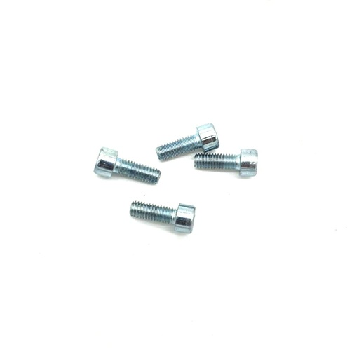 [SPW00230] LUZ SPW | TORNILLO DE SOPORTE DE CUBIERTA INFERIOR (X4)