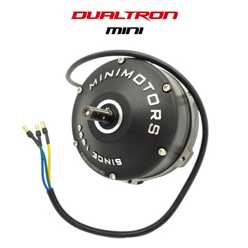 [DLT00198] DUALTRON MINI | MOTOR TRASERO 1000W