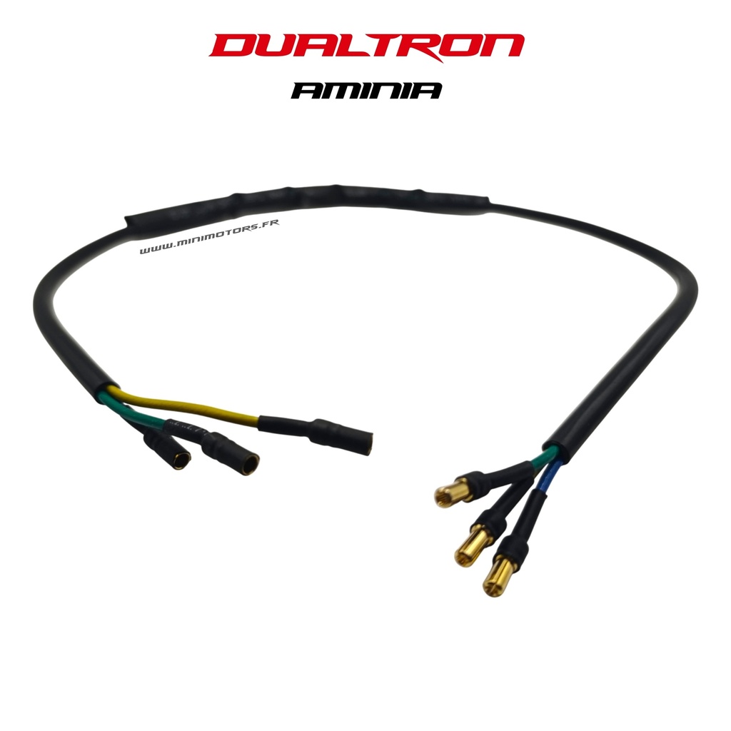 DUALTRON AMINIA | CABLE CONTROLEUR / MOTEUR