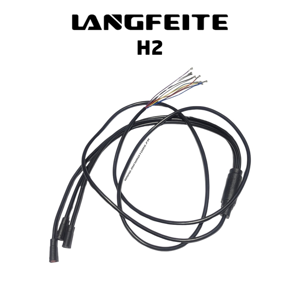 LANGFEITE H2 DUAL | CABLE PRINCIPAL