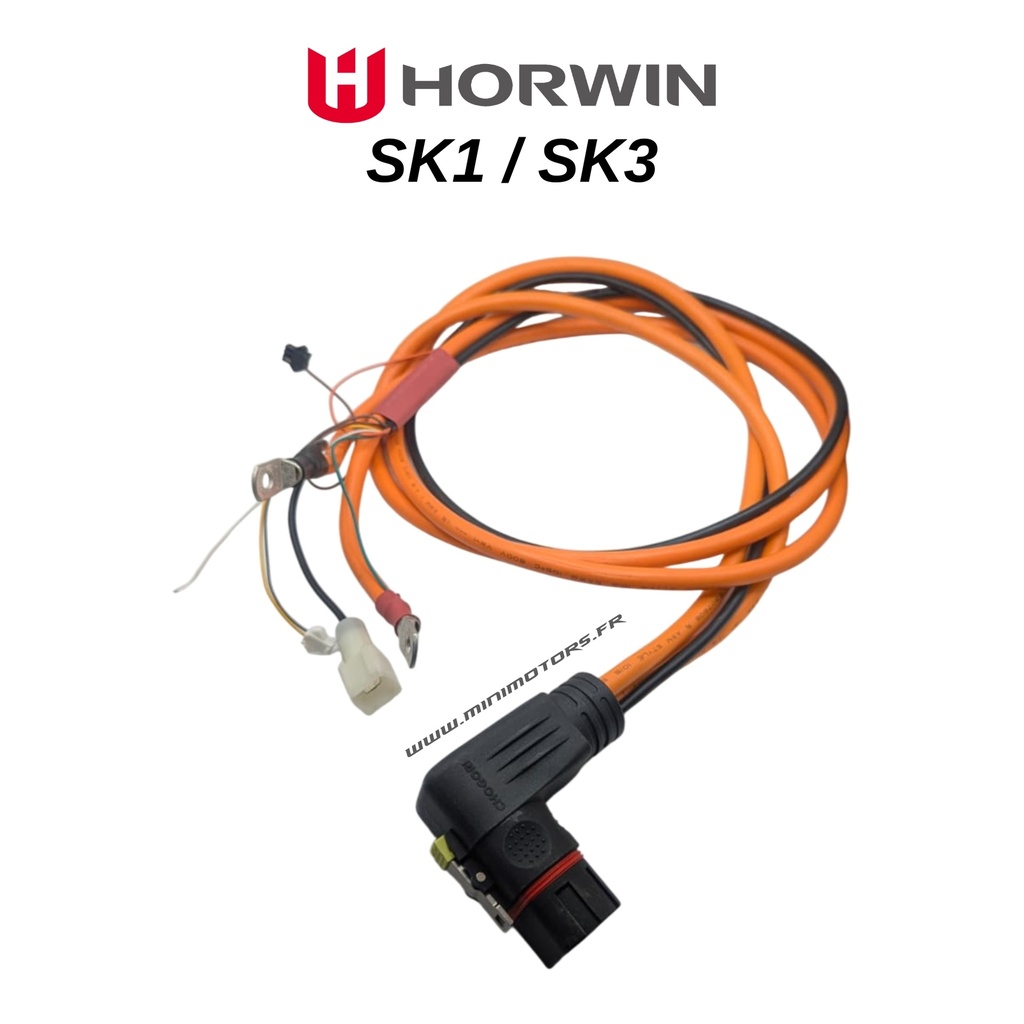 SK1 SK3 VIGA ELÉCTRICA