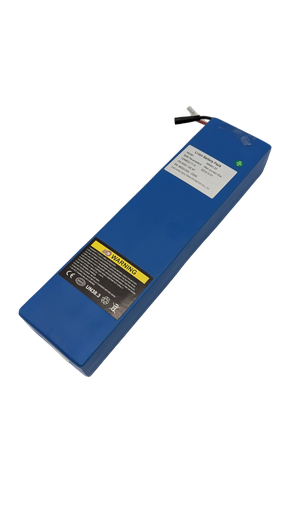 [DLT01384] DUALTRON DELFÍN | BATERIA 36V12AH