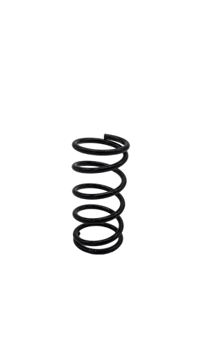 [DLT01405] DUALTRON DOLPHIN | SUSPENSIÓN DELANTERA