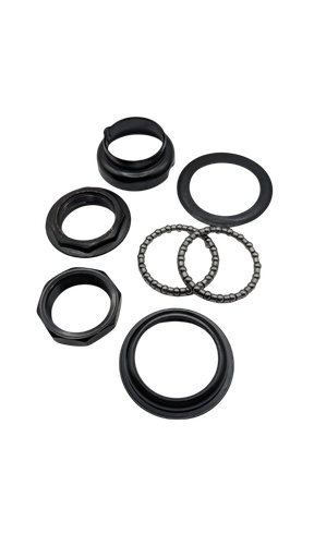 [DLT01410] DUALTRON DOLPHIN | AURICULARES